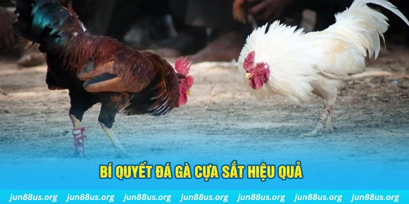 hit club xổ số miền bắc thứ ba hàng tuần
