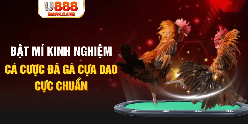 hit club casino hồ tràm có cho người việt vào không