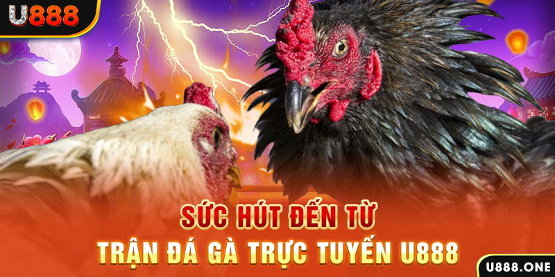 hit club đăng nhập poker 2024