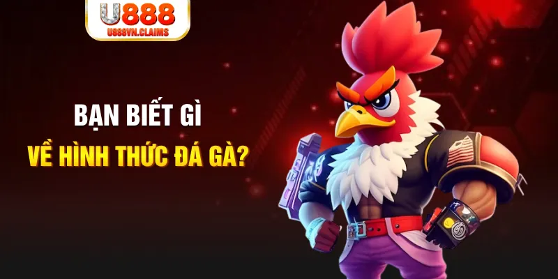 hit club đăng nhập liêng tặng tiền