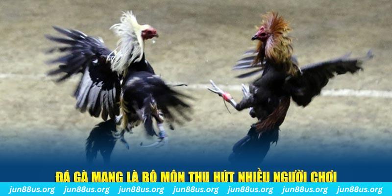 hit club đăng nhập sòng bạc số 1