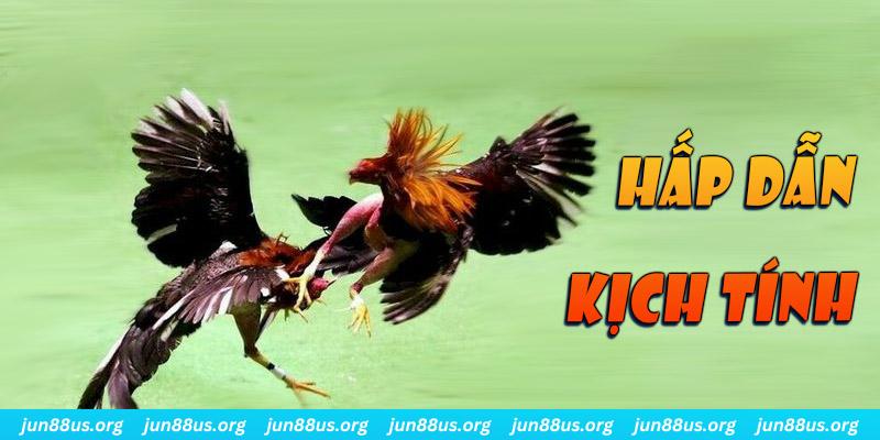 hit club xổ số miền nam thứ sáu