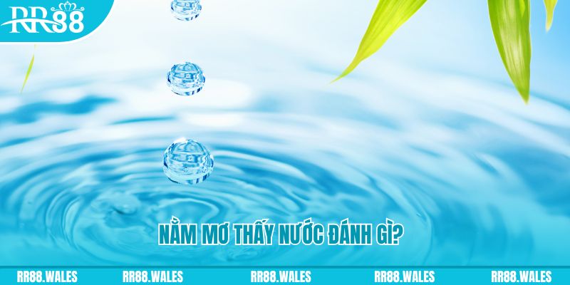 hit club xổ số trực tiếp miền bắc