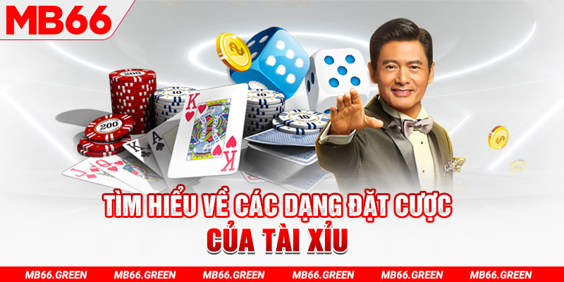 hit club what is a casino loyalty program