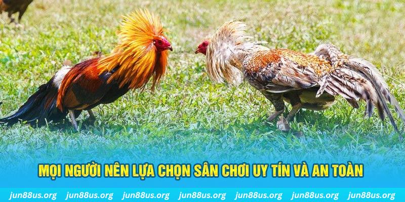 hit club đăng nhập poker 2025