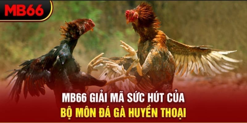 hit club xổ số đài bắc
