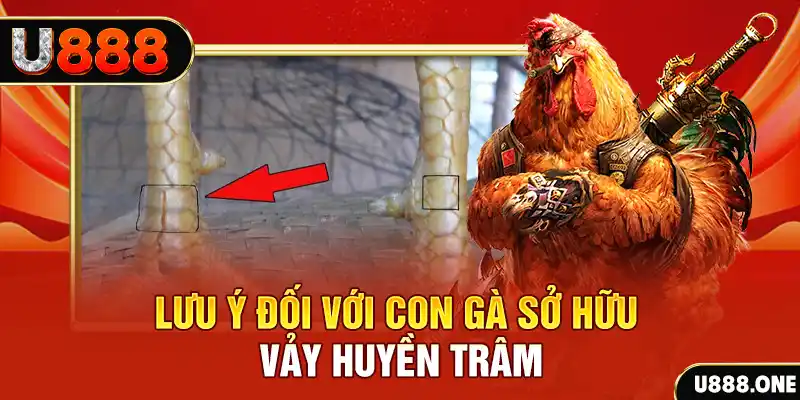 hit club tải game đánh bài tiến lên miền nam về máy tính