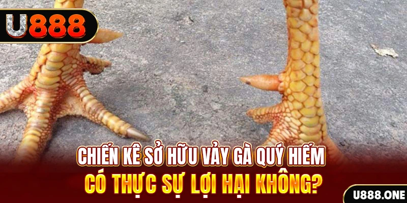hit club xổ số miền trung