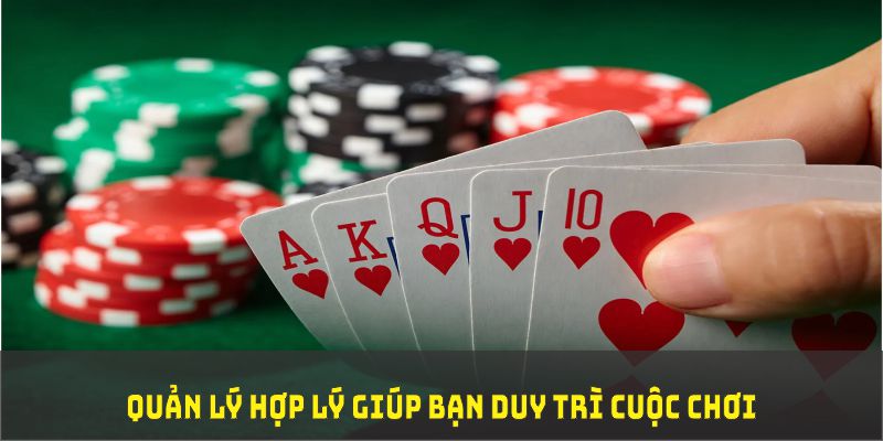 hit club đá gà trực tiếp thomo 67