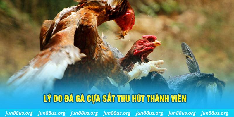 hit club nổ hũ ăn bao nhiêu