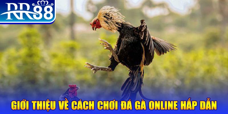hit club bắn cá h5 là gì