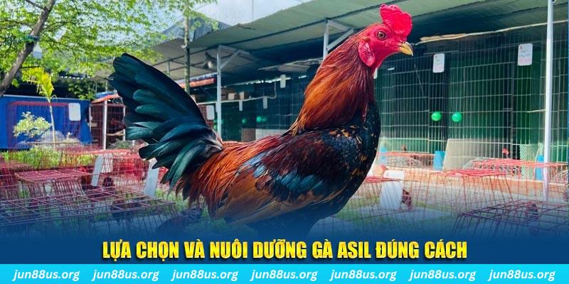 hit club nổ hũ thần tài là gì