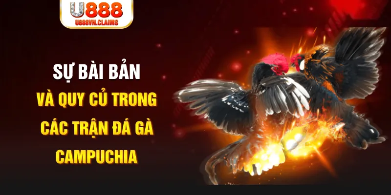 hit club game xếp bài trên máy tính