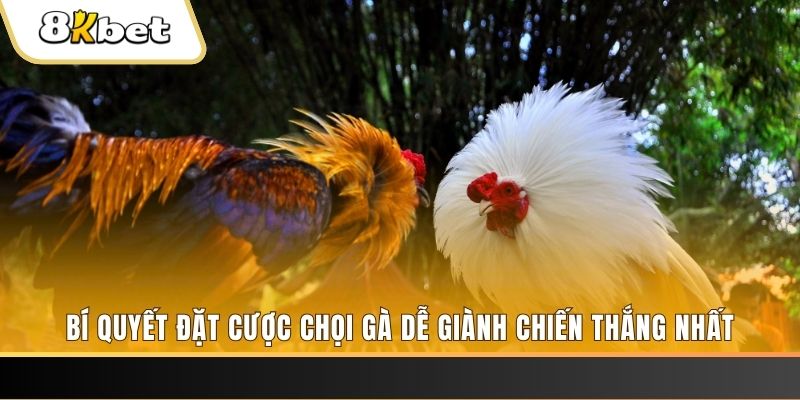 hit club nổ hũ chơi như thế nào