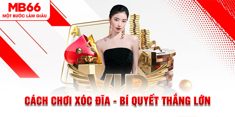 hit club Đĩa màu ace