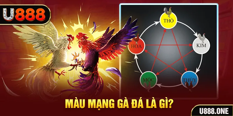 hit club V8 Game Bài 3d