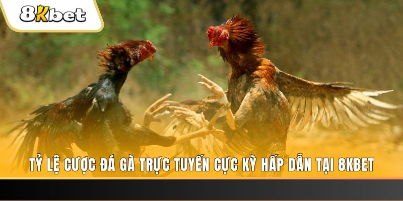 hit club xổ số miền bắc chủ nhật