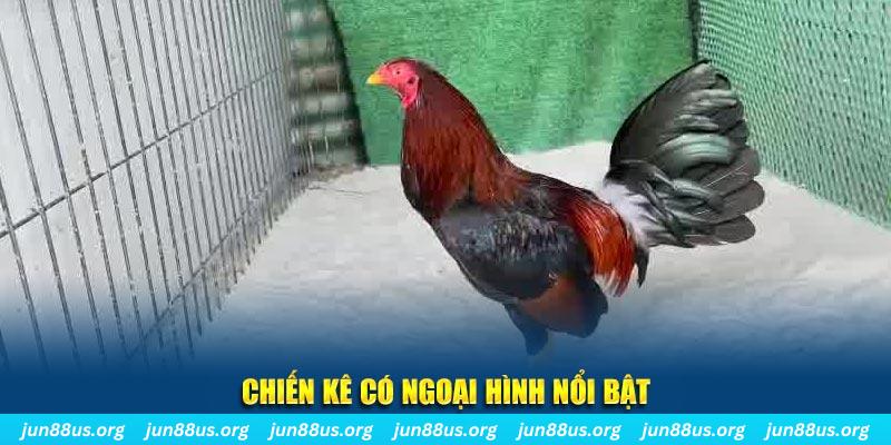 hit club qq88 bắn cá