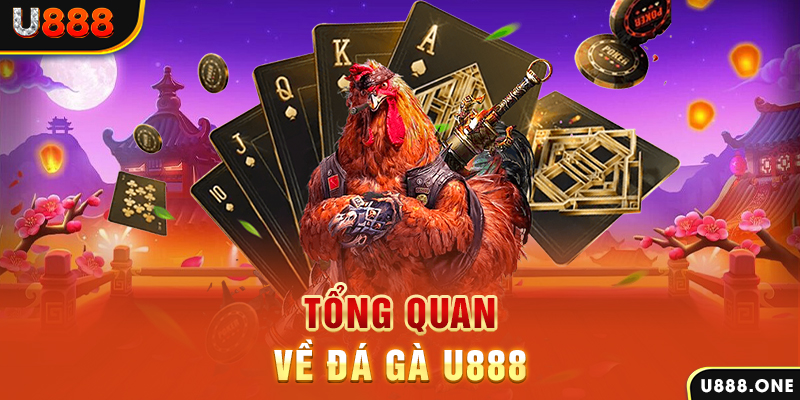 hit club xổ số vietlott
